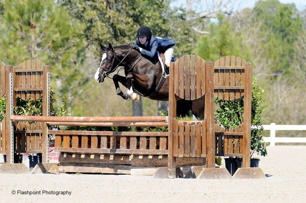 HOPE Horsepark - equestrian in Clarkston, MI