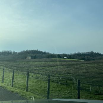 Tsali Notch Vineyard - Part of the vineyard - Venues & Event Spaces Near Me - Madisonville, Tennessee Tsali Notch Vineyard - Part of the vineyard - Venues & Event Spaces Near Me - Madisonville, Tennessee