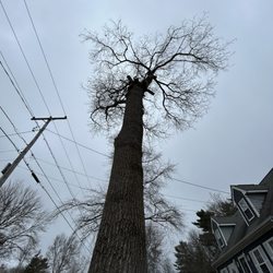 M&M Tree - It's all in Perspective