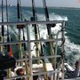 Photo of Absolute Sport Fishing