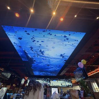 Volcano Steak and Sushi - Sushi Bars Near Me - Dawsonville, Georgia