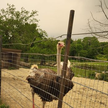 Action Wildlife Foundation - Community Service/Non-Profit Near Me - Goshen, Connecticut