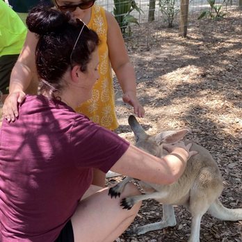 Emerald Coast Zoo - We got to feed kangaroos as part of the kangaroo experience - Zoos Near Me - Crestview, Florida Emerald Coast Zoo - We got to feed kangaroos as part of the kangaroo experience - Zoos Near Me - Crestview, Florida
