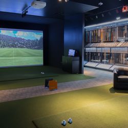 We offer 3 private, climate-controlled fitting bays equipped with virtual golf simulators and top-of-the-line TrackMan™ launch monitors.