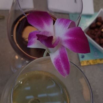 Tommy Bahama - Great wine selection - Seafood Near Me - Plano, Texas Tommy Bahama - Great wine selection - Seafood Near Me - Plano, Texas