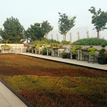 Tim Hortons - 10th floor roof top garden - Hospitals Near Me - Toronto, Ontario Tim Hortons - 10th floor roof top garden - Hospitals Near Me - Toronto, Ontario