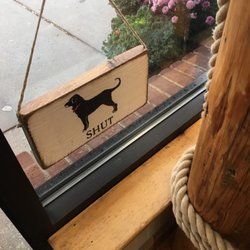 The Black Dog General Store: Falmouth