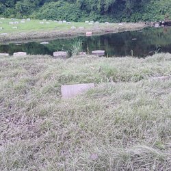 Mount Zion Cemetery - The bottom part of the cemetery. Its impossible to pass through to get to the Graves on the other side