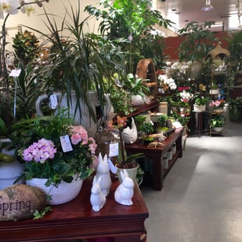 Blooming Vase - Florists Near Me - Burlingame, California Blooming Vase - Florists Near Me - Burlingame, California