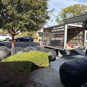 Rodent Control - Pest Control Near Me - San Jose, California