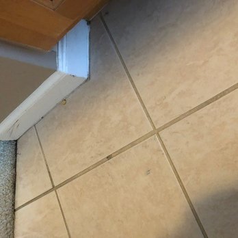 Clearly Clean Services - Home Cleaning Near Me - Franklin Park, Illinois