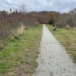 Scalloptown Park - Walking path