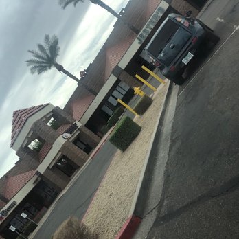 Little Critters Veterinary Hospital - Veterinarians Near Me - Gilbert, Arizona