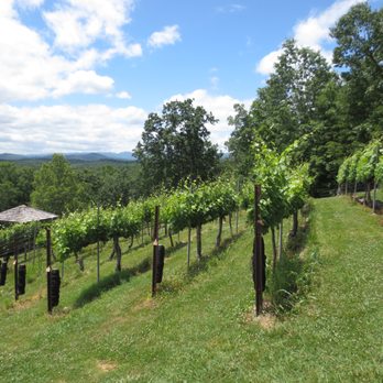 Wolf Mountain Vineyards - Wineries Near Me - Dahlonega, Georgia Wolf Mountain Vineyards - Wineries Near Me - Dahlonega, Georgia