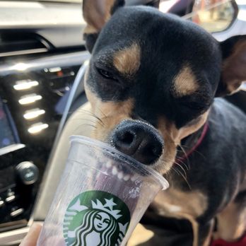 Starbucks - Coffee & Tea Near Me - Hot Springs, Arkansas Starbucks - Coffee & Tea Near Me - Hot Springs, Arkansas