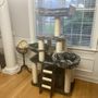 Cat Tree King
