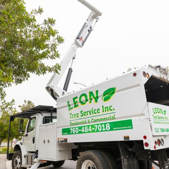 Leon Tree Service - Tree Services Near Me