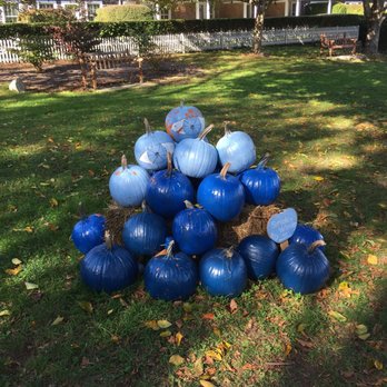 Kate Gould Park - Pumpkin People 2017 - Parks Near Me - Chatham, Massachusetts Kate Gould Park - Pumpkin People 2017 - Parks Near Me - Chatham, Massachusetts