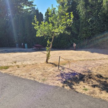 Longview North / Mount St Helens KOA - Deluxe RV &tent sites - RV Parks Near Me - Castle Rock, Washington Longview North / Mount St Helens KOA - Deluxe RV &tent sites - RV Parks Near Me - Castle Rock, Washington