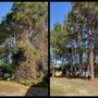 Photo of TreeWorks