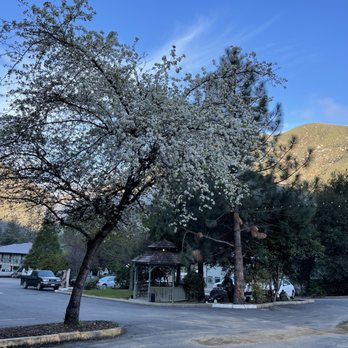 Yosemite Cedar Lodge - Hotels Near Me - El Portal, California