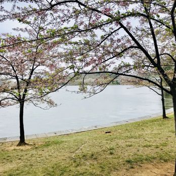 Tidal Basin - Lakes Near Me - Washington, DC, District of Columbia Tidal Basin - Lakes Near Me - Washington, DC, District of Columbia