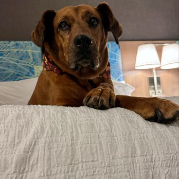 Hampton Inn by Hilton St. Catharines Niagara - Hotels Near Me - St. Catharines, Ontario