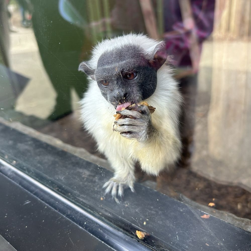 Chattanooga Zoo At Warner Park - Amusement Parks Near Me - Chattanooga, Tennessee
