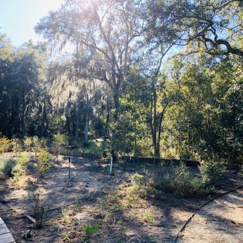 Cay Creek Wetlands Interpretive Center - A part of the garden at the trail head. - Hiking Near Me - Midway, Georgia Cay Creek Wetlands Interpretive Center - A part of the garden at the trail head. - Hiking Near Me - Midway, Georgia