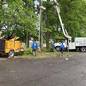 Ortiz Tree Service - Tree Services Near Me Ortiz Tree Service - Tree Services Near Me