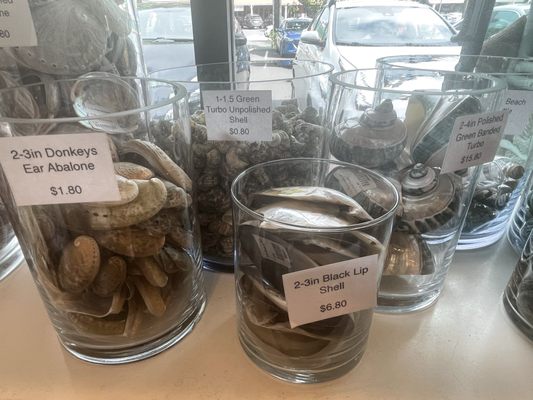 SoHa Living Kailua by null