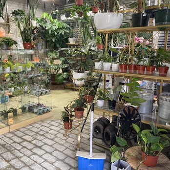 Casas Succulents And Cactus - Nurseries & Gardening Near Me - Visalia, California