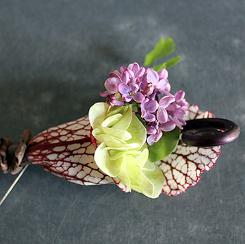Mitch's Flowers by null