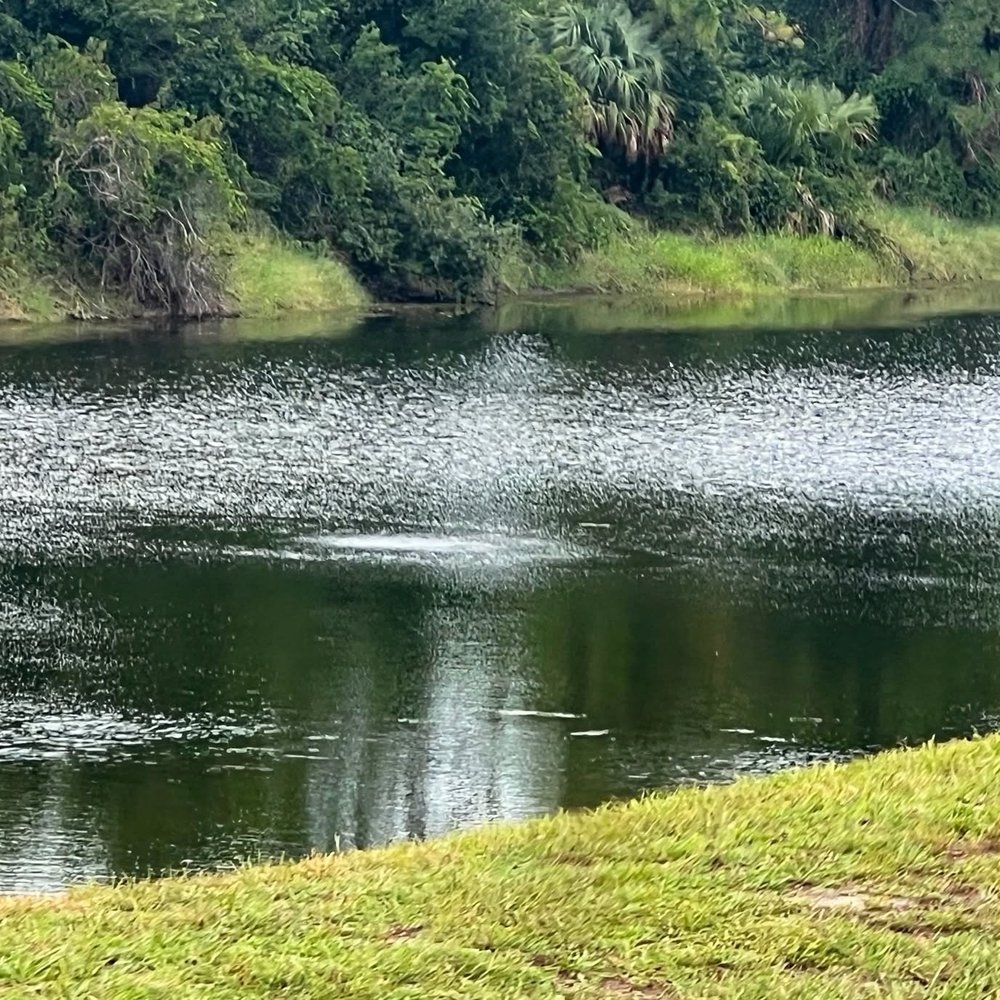 Shadow Bay Park - Parks Near Me - Orlando, Florida