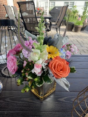 WILDFLOWERS OF PRINCETON JUNCTION - Updated March 2025 - 61 Photos & 49