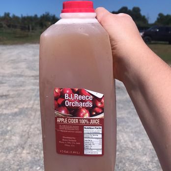 BJ Reece Orchards - Fruits & Veggies Near Me - Ellijay, Georgia