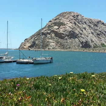 Morro Bay State Park - Photogenic! - Parks Near Me - Morro Bay, California Morro Bay State Park - Photogenic! - Parks Near Me - Morro Bay, California
