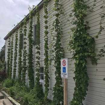 Rolling Oak Brewing - Breweries Near Me - Grayling, Michigan