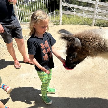 The Alpaca Hacienda - Attraction Farms Near Me - Temecula, California