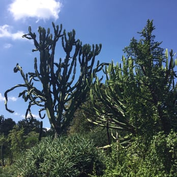 Brisbane Botanical Gardens - Parks Near Me - Toowong, QLD