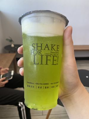 Dingtea Denver by null