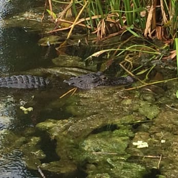 Green Cay Nature Center - Local Flavor Near Me - Boynton Beach, Florida