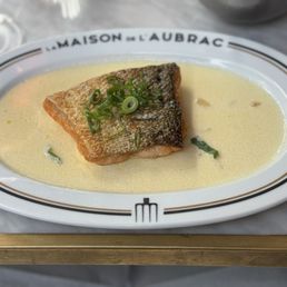 Salmon