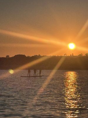 Newport Dunes Waterfront Resort & Marina by null
