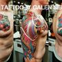 Photo of Preying Mantis Tattoo 2- Kipling