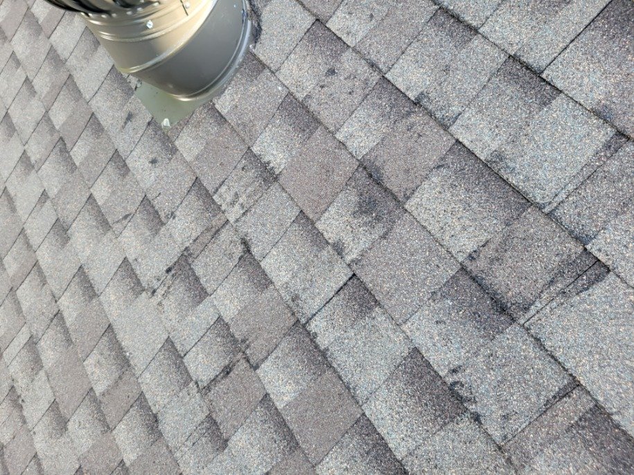 Slide of Visionaire Construction