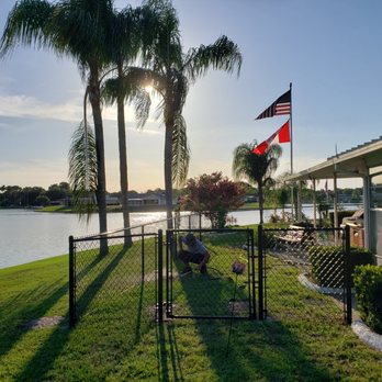Python Fence - 4ft High black vinyl chain link fence - Fences & Gates Near Me - Ruskin, Florida Python Fence - 4ft High black vinyl chain link fence - Fences & Gates Near Me - Ruskin, Florida