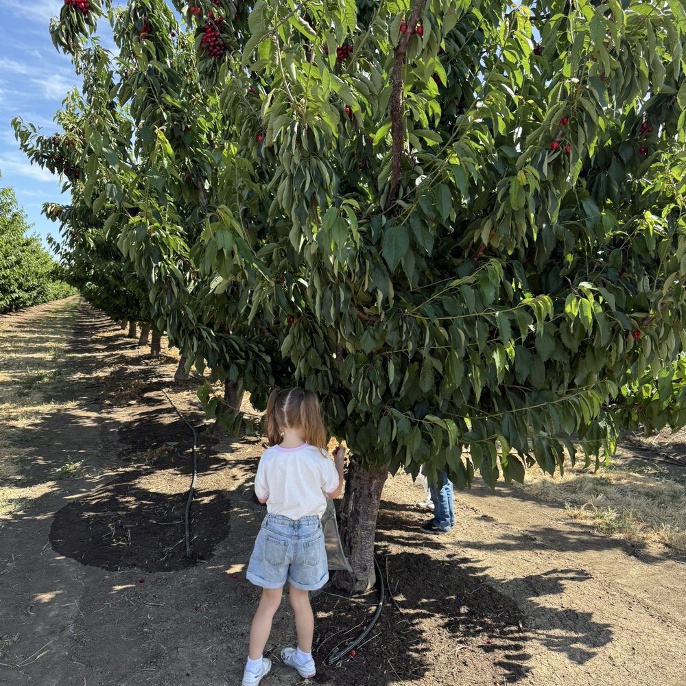 Long Shadow farm - Pick Your Own Farms Near Me - Byron, California Long Shadow farm - Pick Your Own Farms Near Me - Byron, California