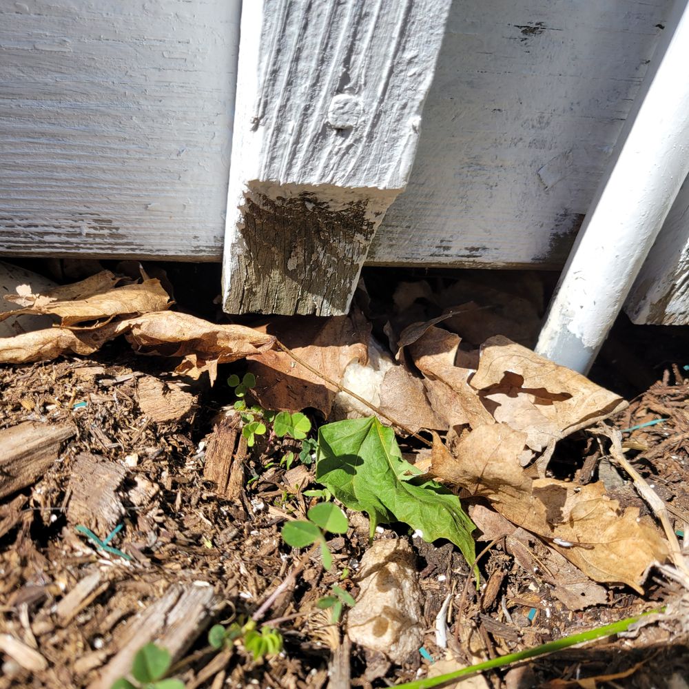 Russo Painting - Unpainted at the most vulnerable area! - Painters Near Me Russo Painting - Unpainted at the most vulnerable area! - Painters Near Me