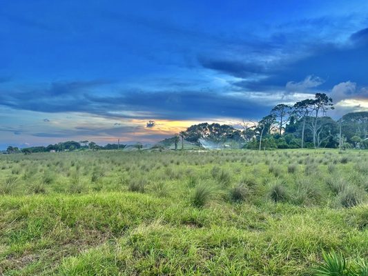 Jekyll Island by null